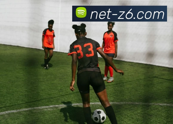 尊龙凯时APP 封面图